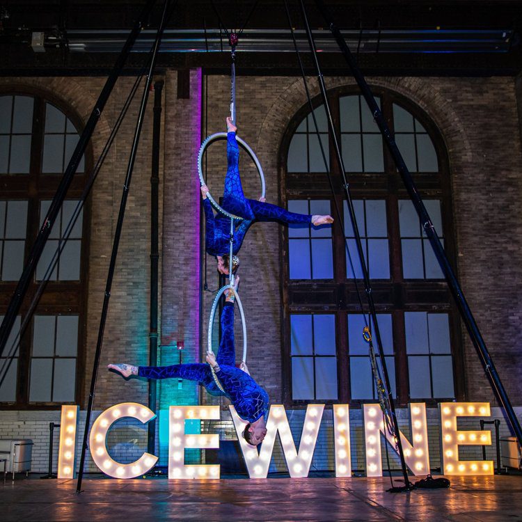 images/2024/feo-cool-as-ice-gala.png#joomlaImage://local-images/2024/feo-cool-as-ice-gala.png?width=750&height=750