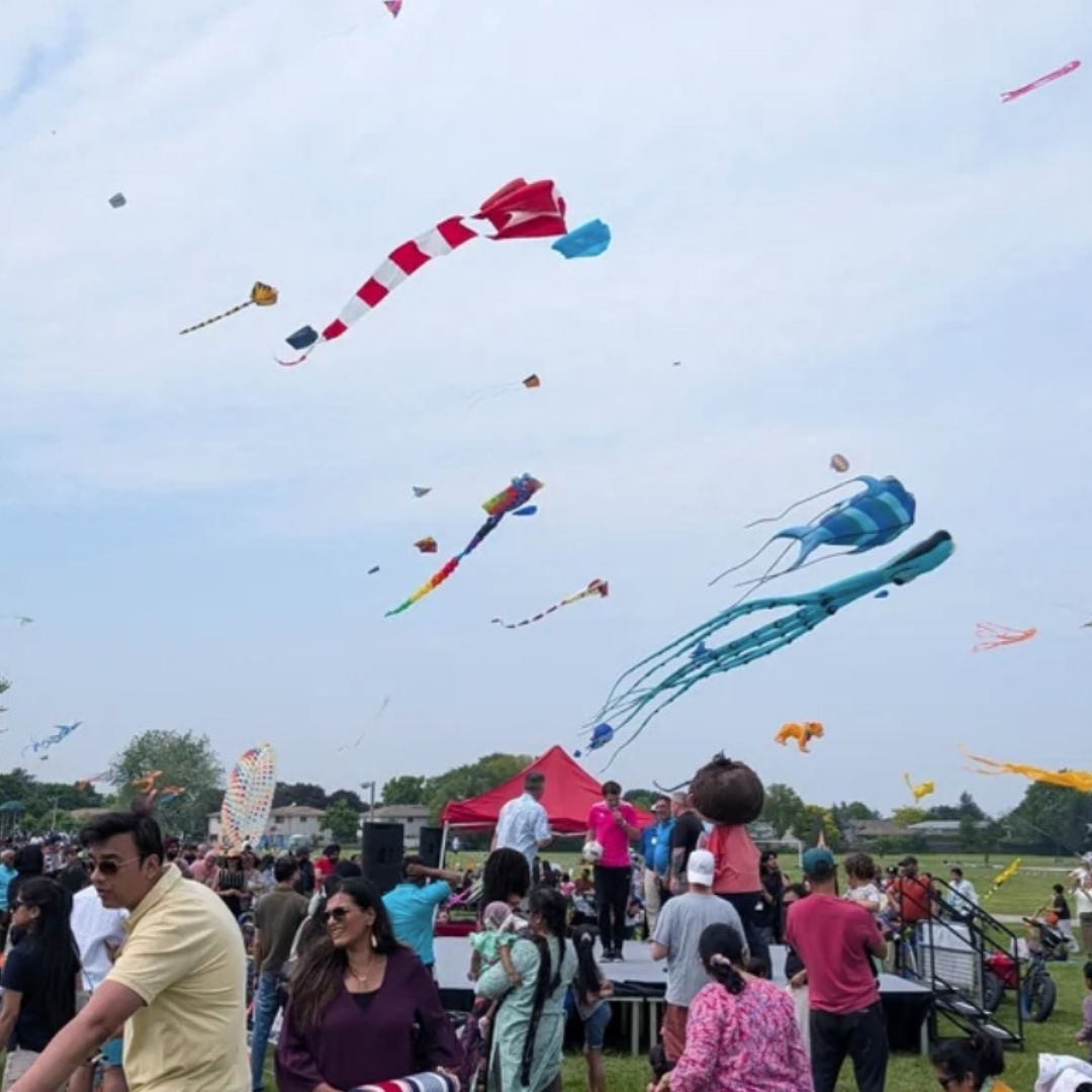 images/2026/kite-1.jpg#joomlaImage://local-images/2026/kite-1.jpg?width=1080&height=1080