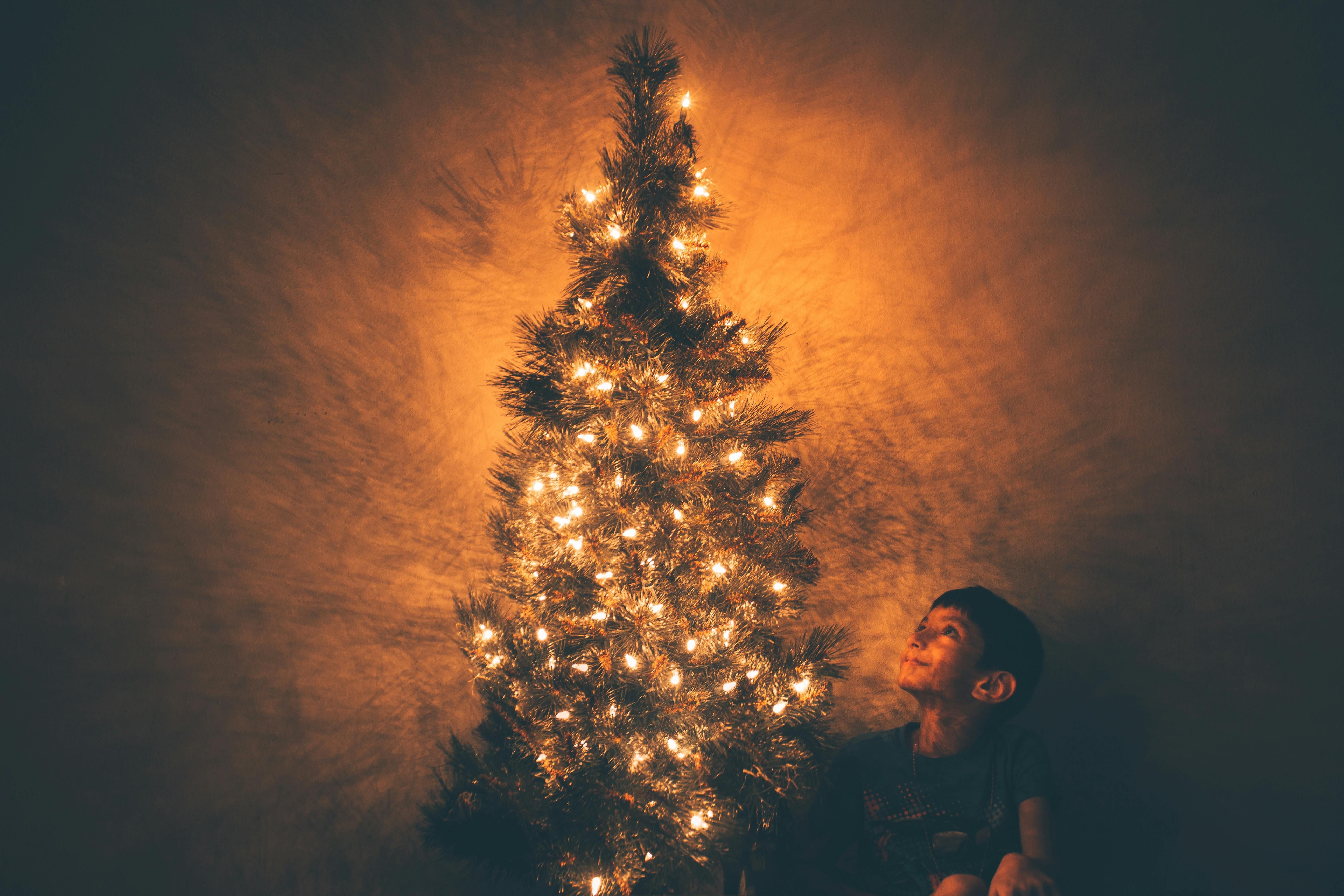images/2024/pexels-jeswin-713148.jpg#joomlaImage://local-images/2024/pexels-jeswin-713148.jpg?width=5184&height=3456