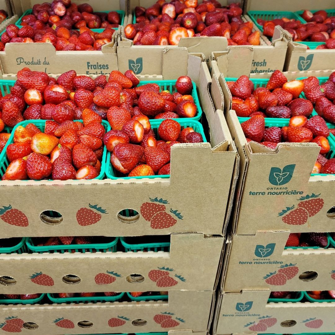 images/2026/lasalle-1.jpg#joomlaImage://local-images/2026/lasalle-1.jpg?width=1080&height=1080